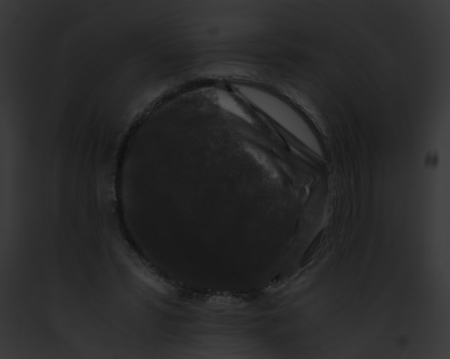 X0000091880399200710031125