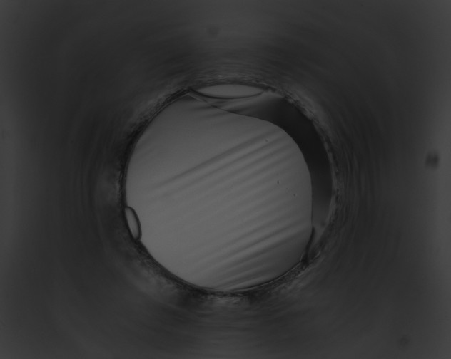 X0000091880401200710031125