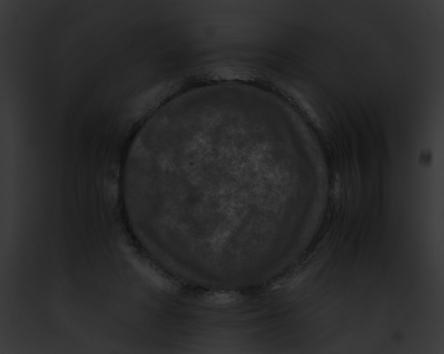 X0000091880402200710031125