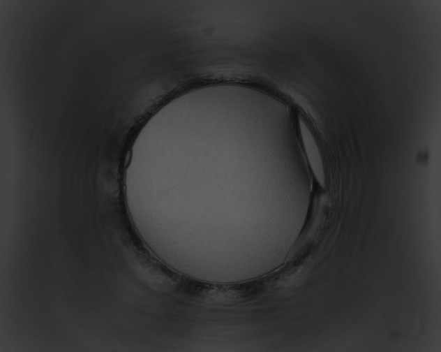 X0000091880403200710031125