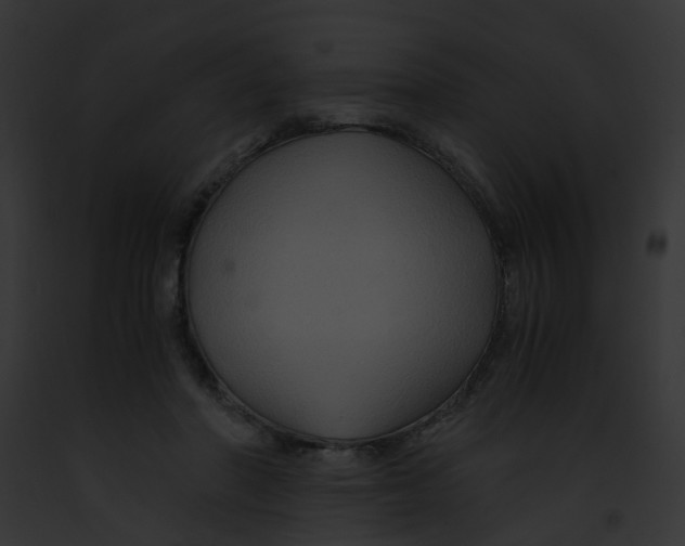 X0000091880406200710031125