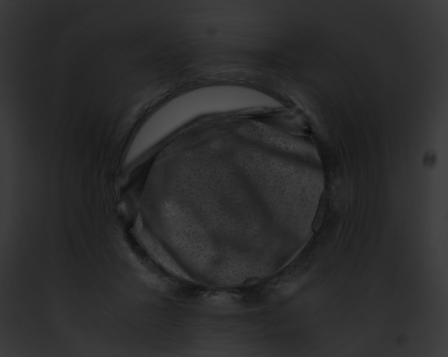 X0000091880407200710031125