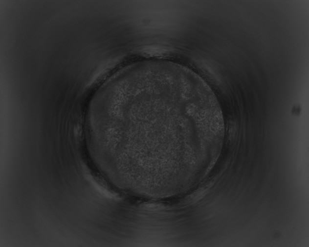 X0000091880408200710031125