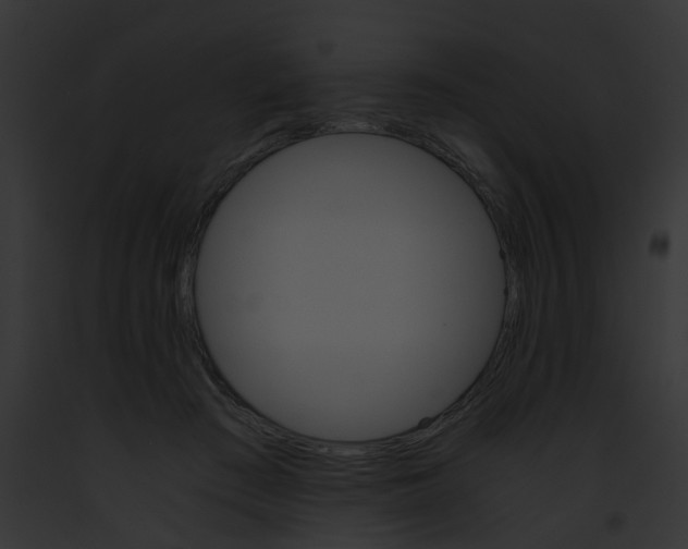 X0000091880409200710031125