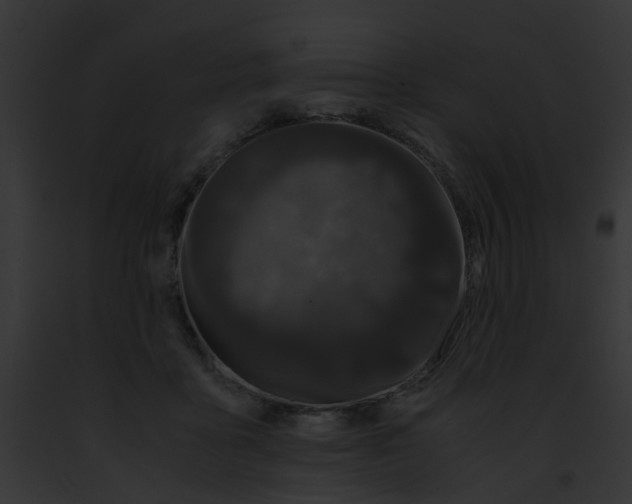 X0000091880411200710031125