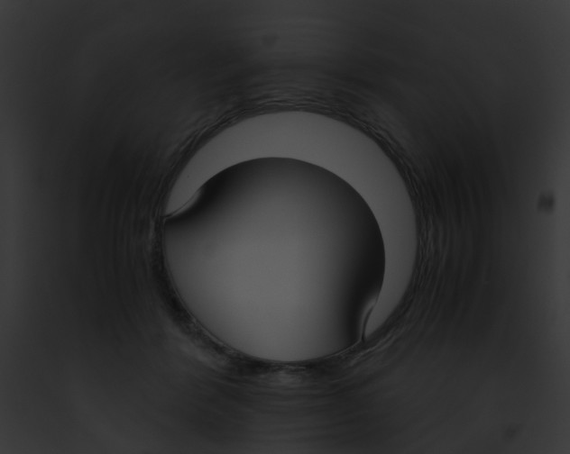 X0000091880412200710031125