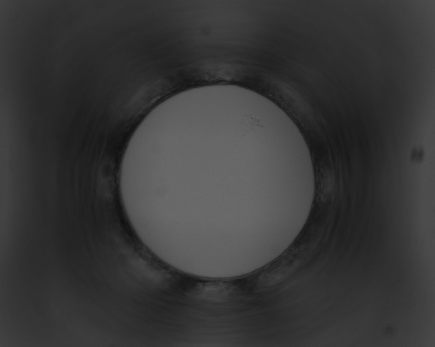 X0000091880414200710031125