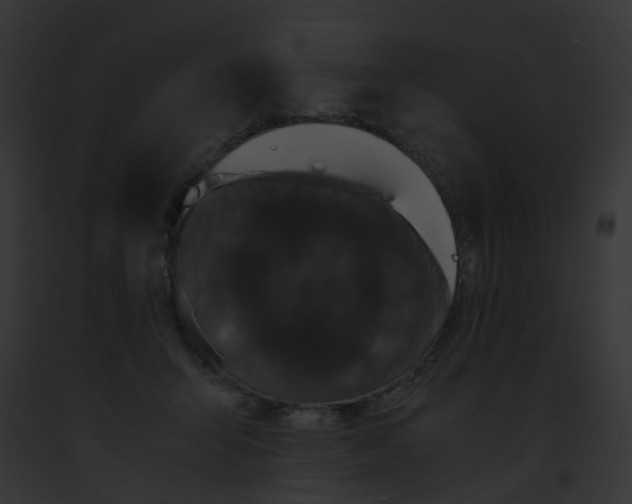 X0000091880415200710031125