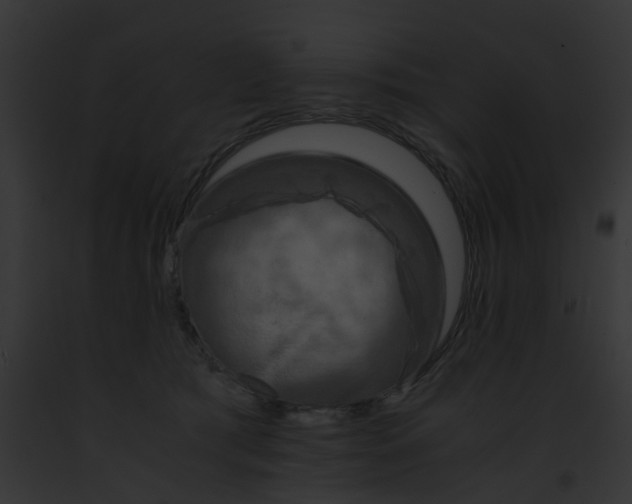 X0000091880417200710031125