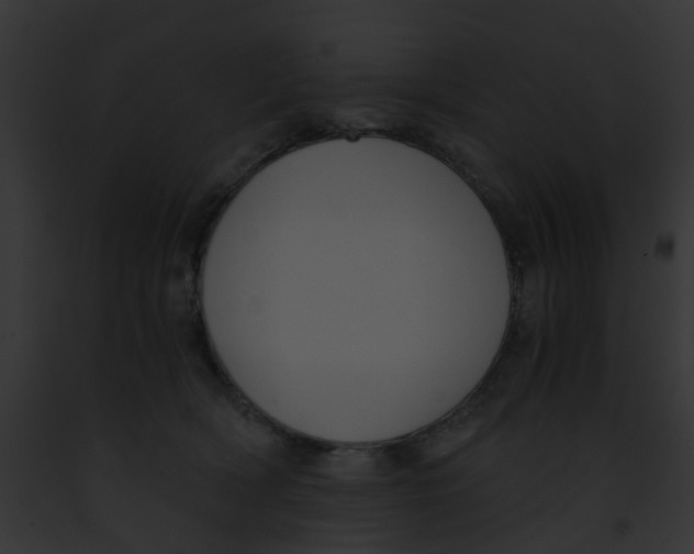 X0000091880418200710031125