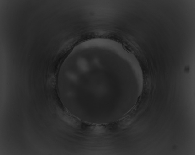 X0000091880419200710031125