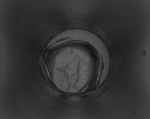 X0000091880421200710031125