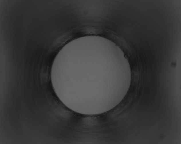 X0000091880422200710031125