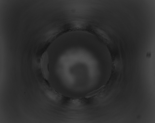 X0000091880423200710031125