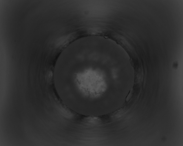 X0000091880427200710031125