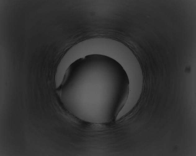 X0000091880429200710031125