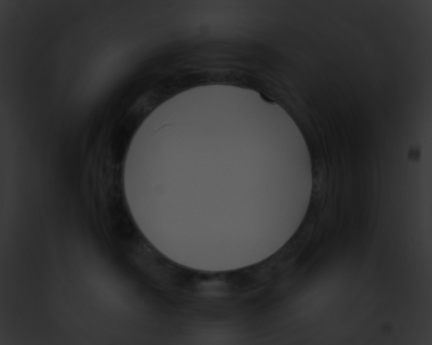 X0000091880430200710031125