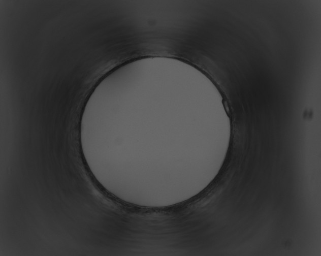 X0000091880433200710031124