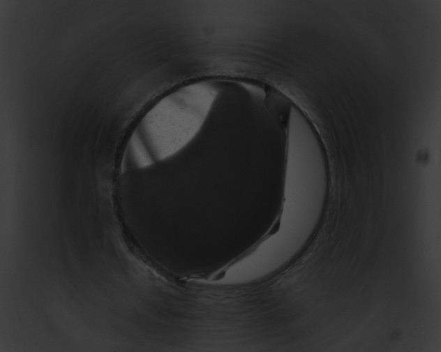 X0000091880434200710031124