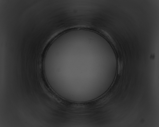 X0000091880435200710031124