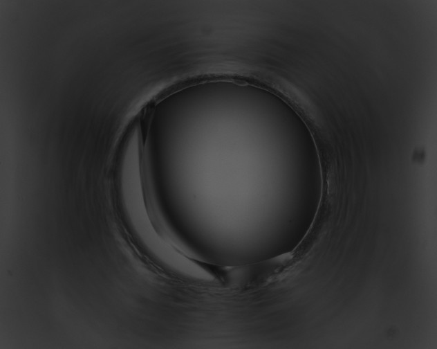 X0000091880436200710031124