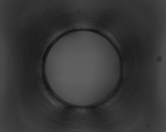 X0000091880439200710031124