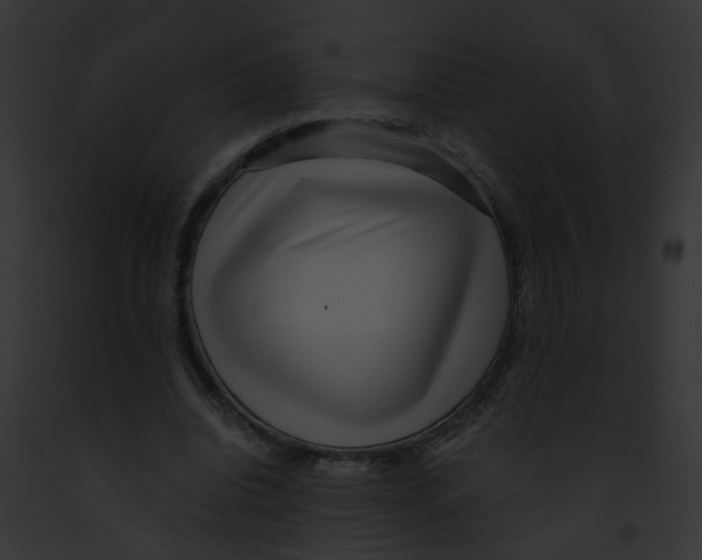 X0000091880440200710031124