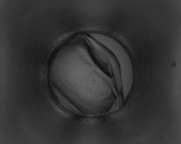 X0000091880444200710031124