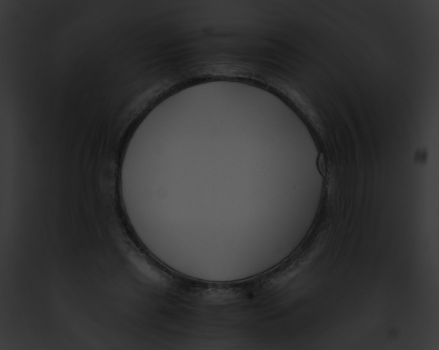 X0000091880445200710031124