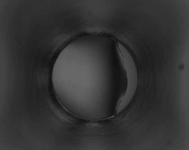 X0000091880448200710031124