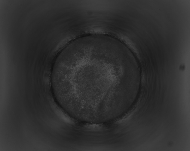 X0000091880449200710031124