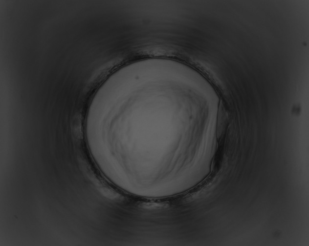 X0000091880453200710031125