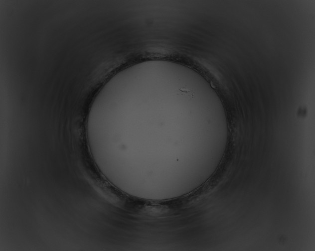 X0000091880455200710031125