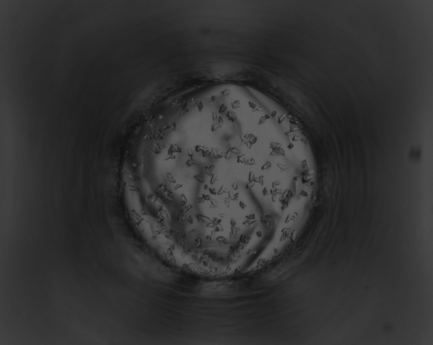 X0000091880461200710031125