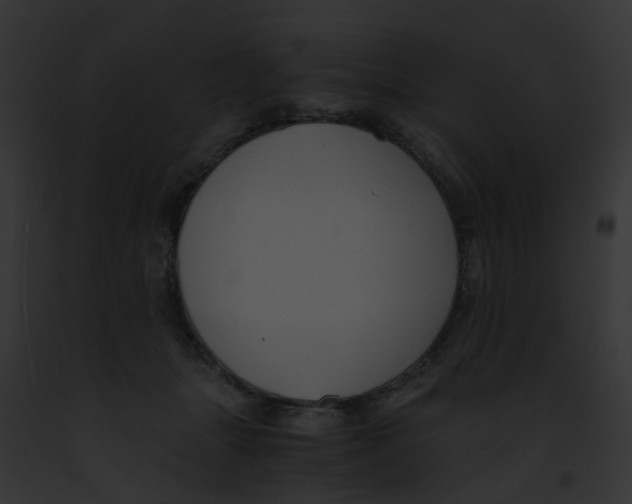 X0000091880463200710031125