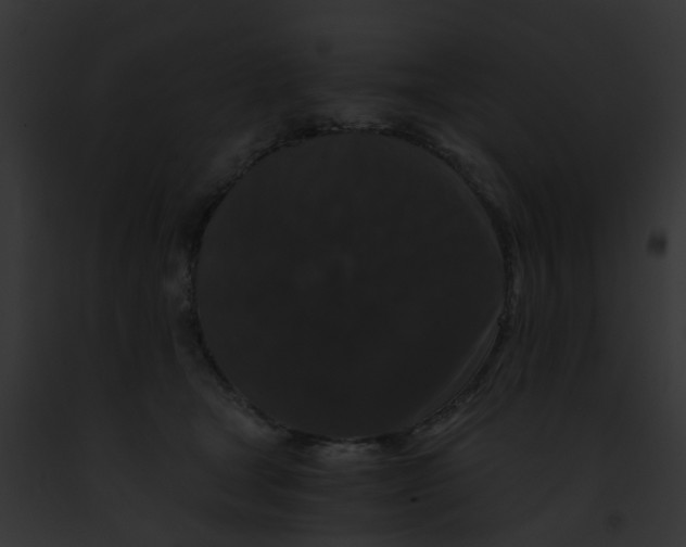 X0000091880465200710031125