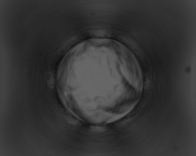 X0000091880469200710031125