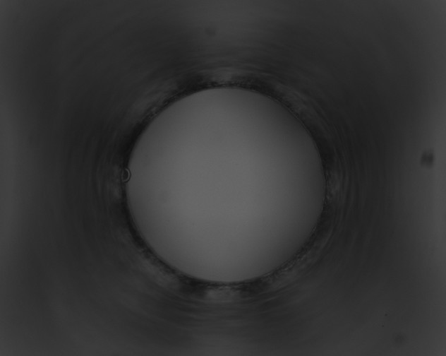 X0000091880470200710031125