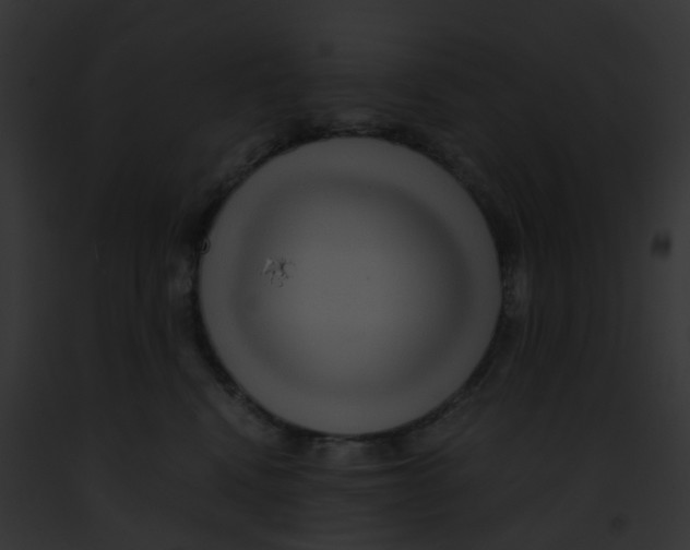 X0000091880472200710031125