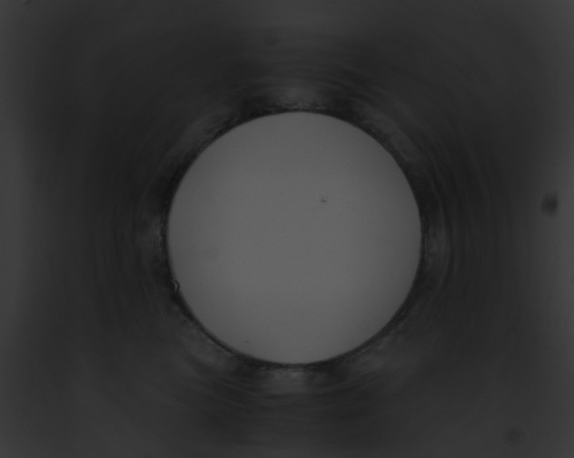 X0000091880473200710031125