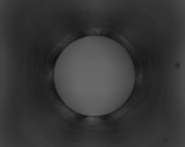 X0000091880477200710031125