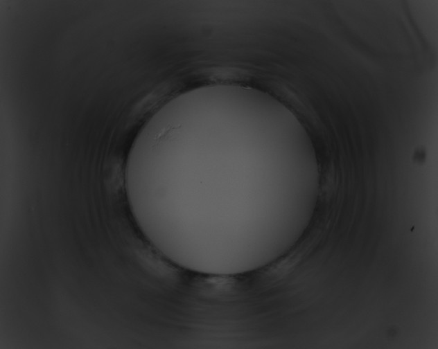 X0000091880478200710031125