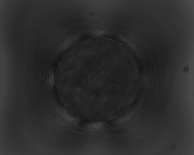 X0000091880479200710031125