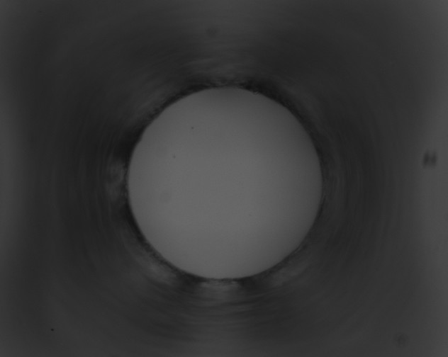 X0000091880480200710031125