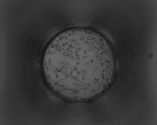 X0000091880483200710031124