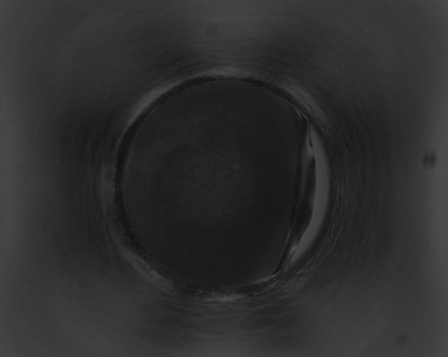 X0000091880484200710031124