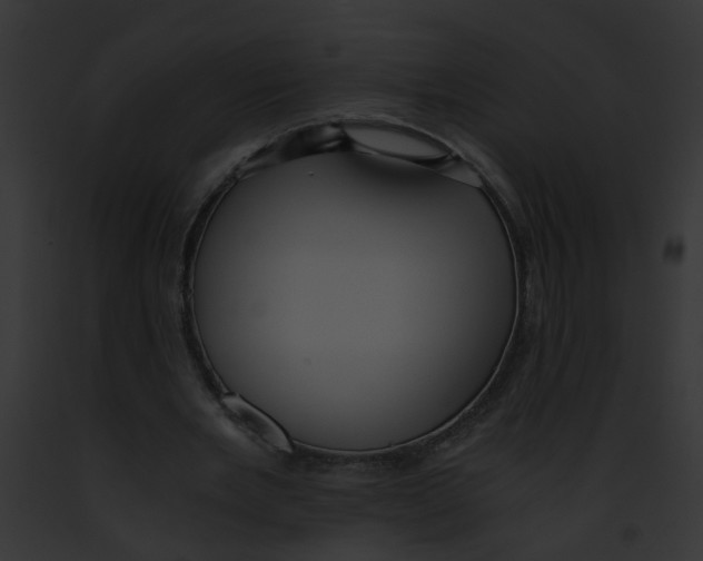 X0000091880485200710031124