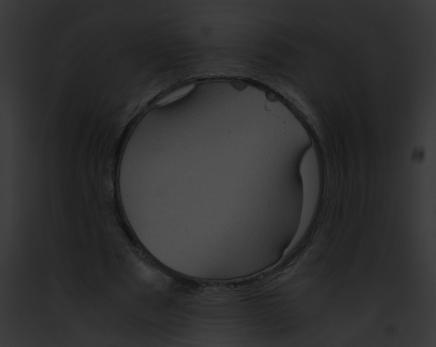 X0000091880489200710031124