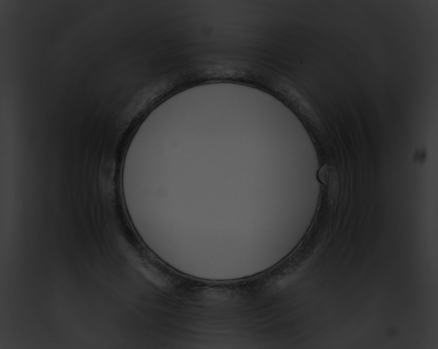 X0000091880490200710031124