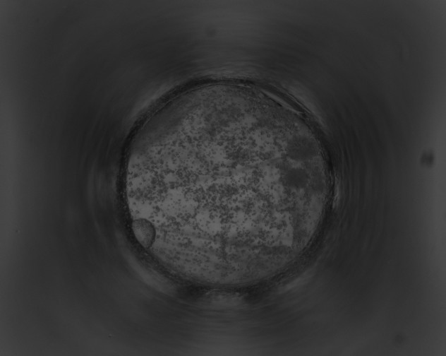 X0000091880491200710031124